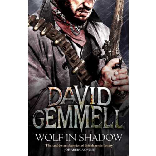 Little, Brown Book Group Wolf In Shadow (häftad, eng)