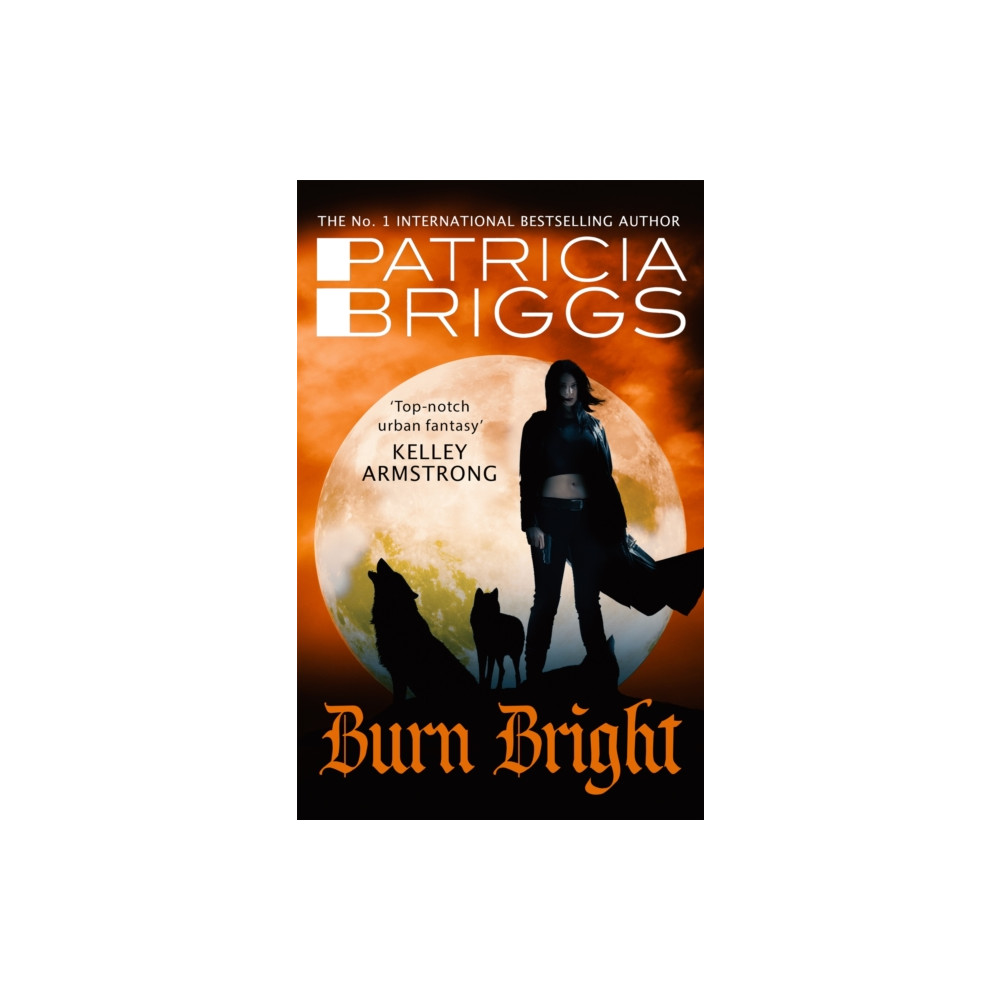 Produktbild för Burn Bright (häftad, eng)