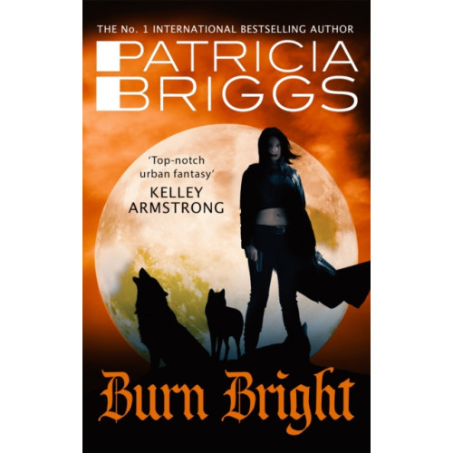 Little, Brown Book Group Burn Bright (häftad, eng)