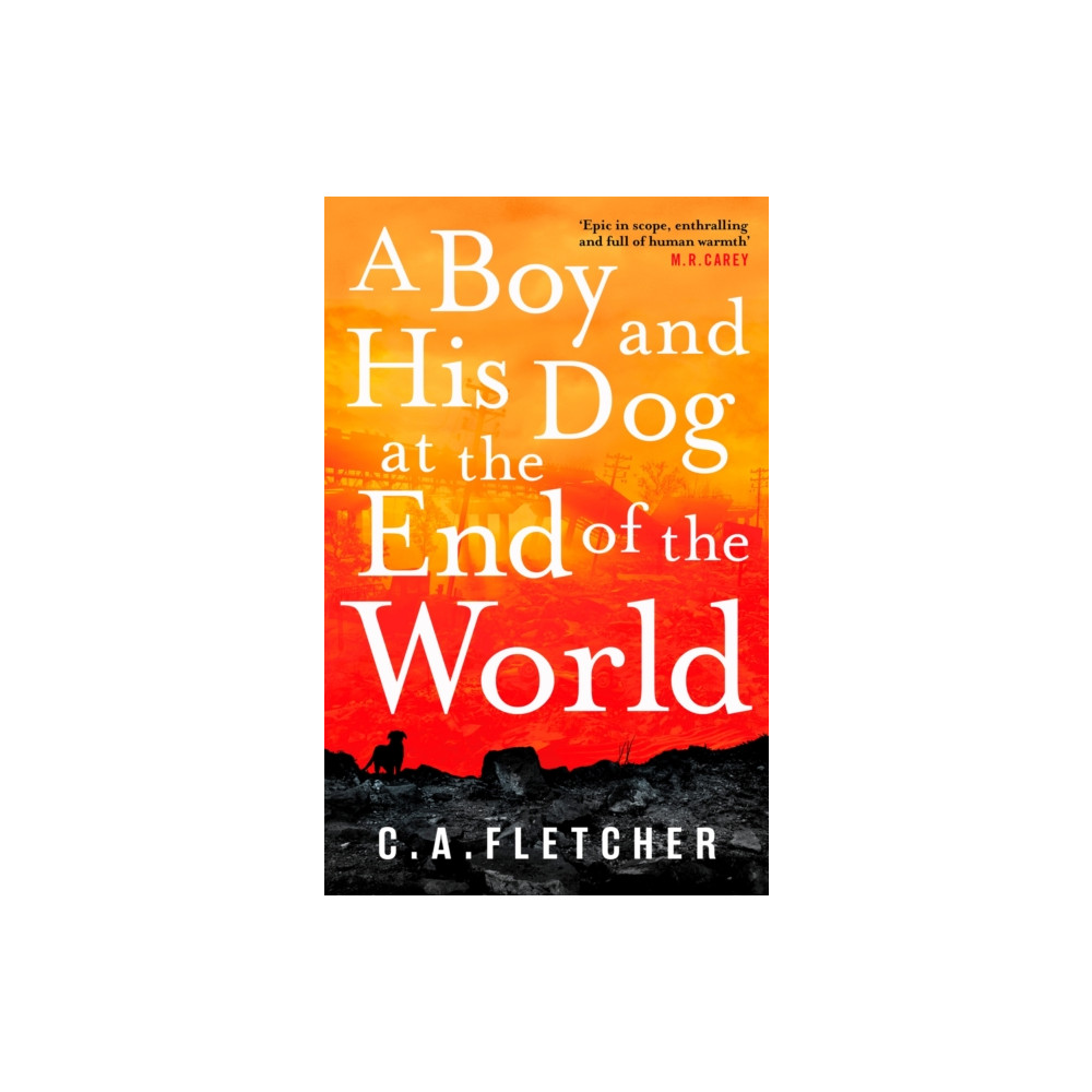 Produktbild för A Boy and his Dog at the End of the World (häftad, eng)