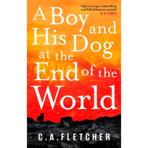 Little, Brown Book Group A Boy and his Dog at the End of the World (häftad, eng)