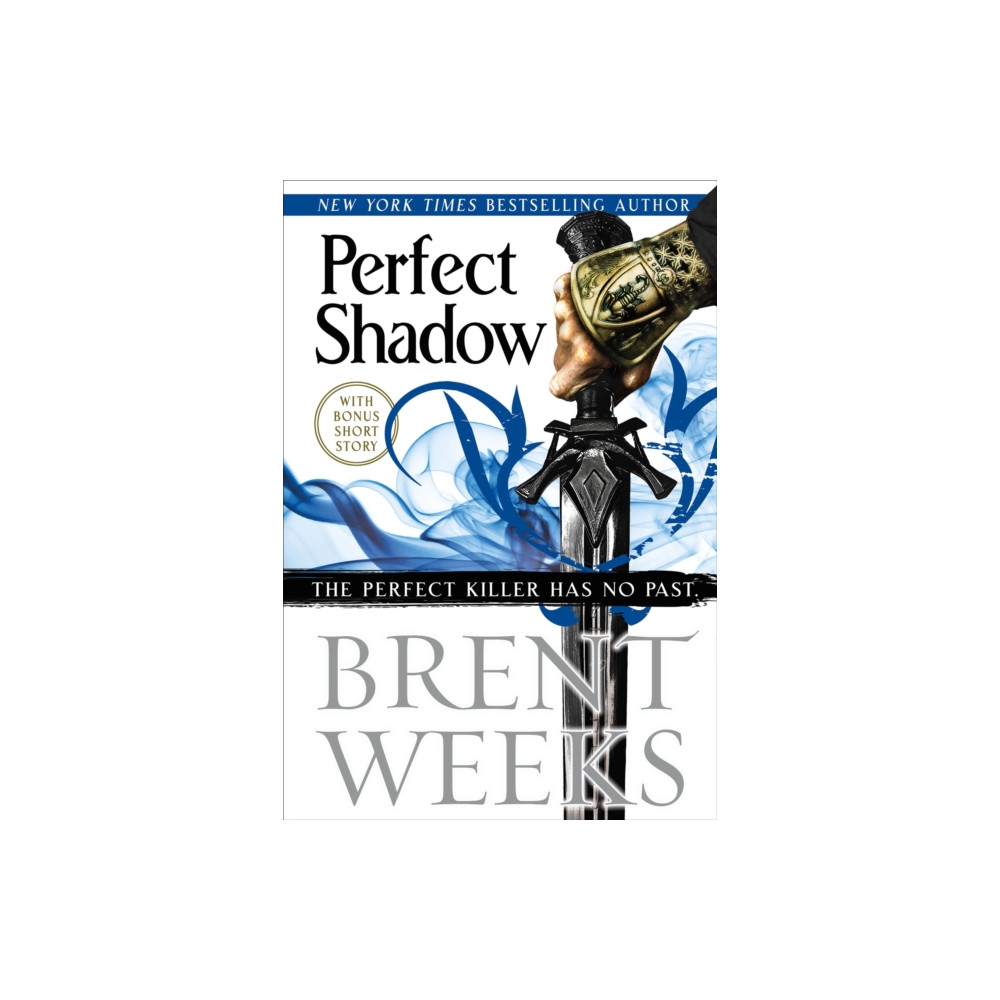Produktbild för Perfect Shadow (inbunden, eng)