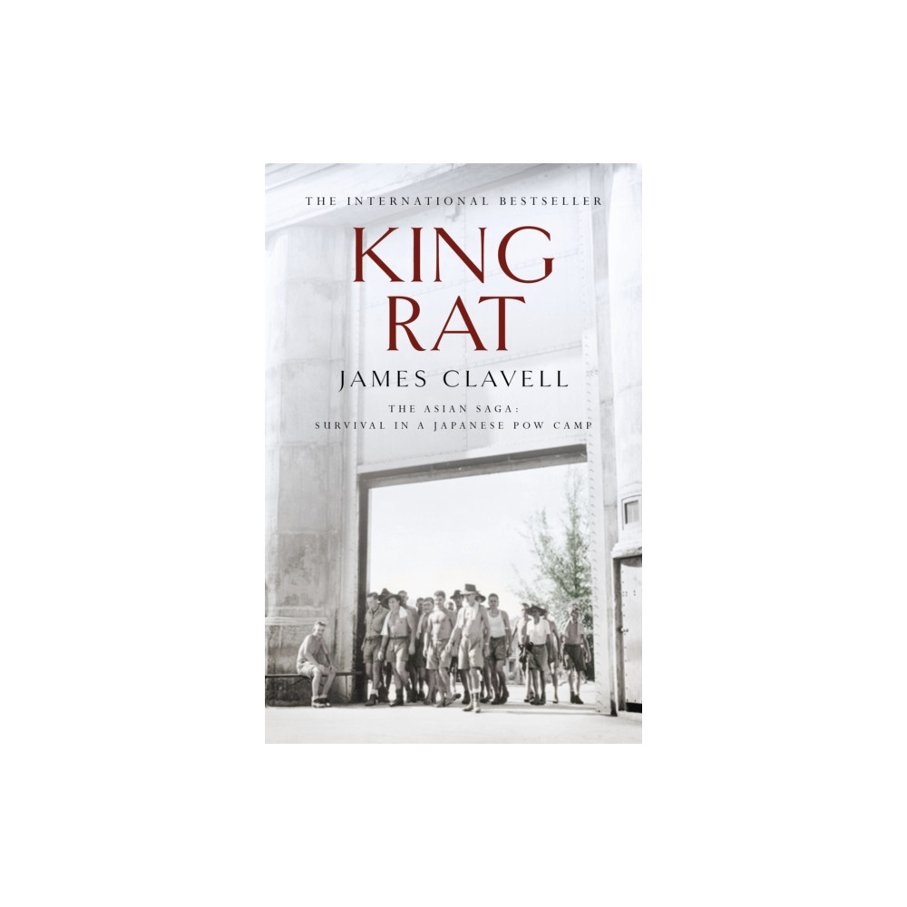 Produktbild för King Rat (häftad, eng)