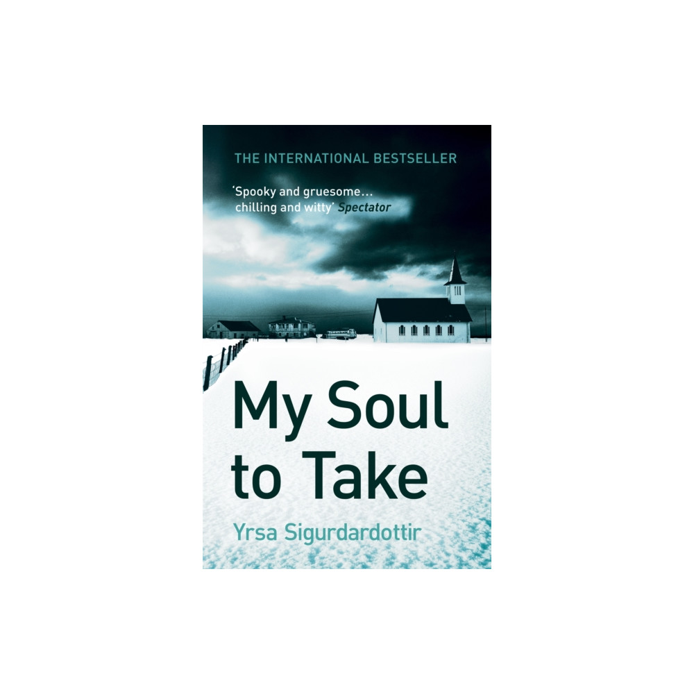 Produktbild för My Soul to Take (häftad, eng)
