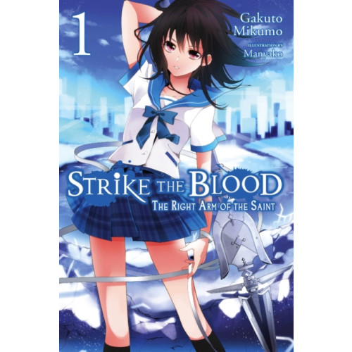 Little, Brown & Company Strike the Blood, Vol. 1 (light novel) (häftad, eng)