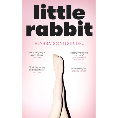 Little, Brown Book Group Little Rabbit (inbunden, eng)