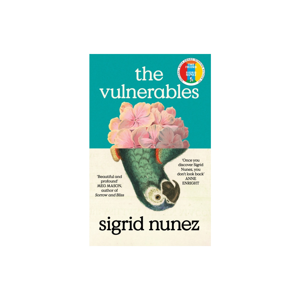 Produktbild för The Vulnerables (inbunden, eng)