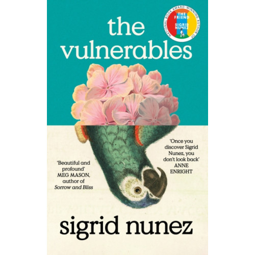Little, Brown Book Group The Vulnerables (inbunden, eng)
