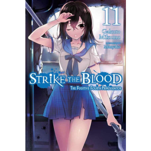 Little, Brown & Company Strike the Blood, Vol. 11 (light novel) (häftad, eng)
