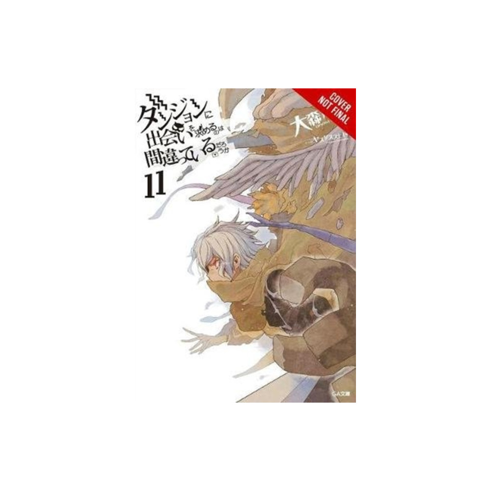 Produktbild för Is It Wrong to Try to Pick Up Girls in a Dungeon?, Vol. 11 (light novel) (häftad, eng)