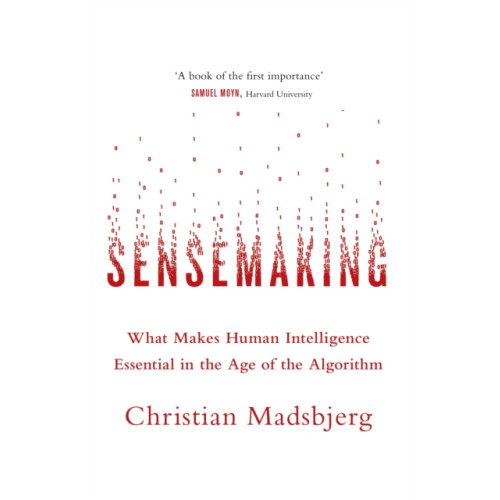 Little, Brown Book Group Sensemaking (häftad, eng)