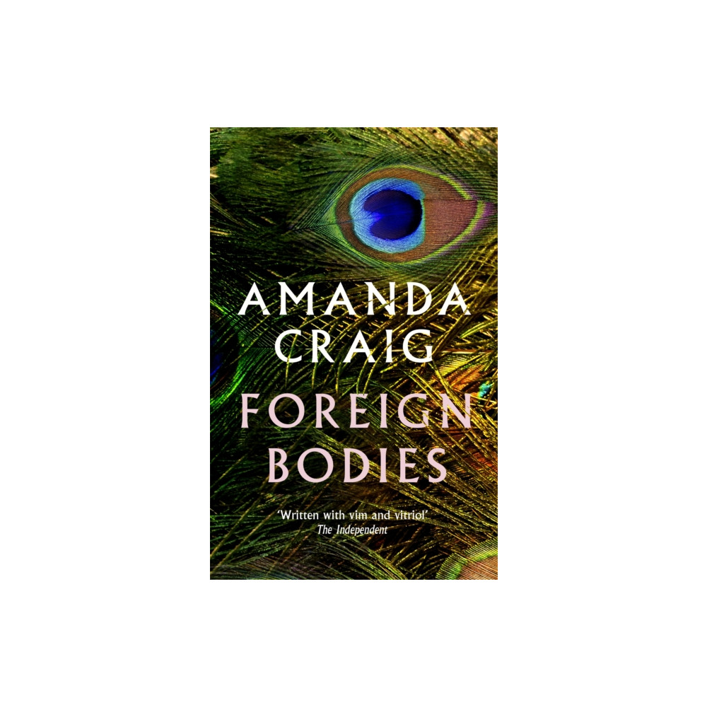 Produktbild för Foreign Bodies (häftad, eng)
