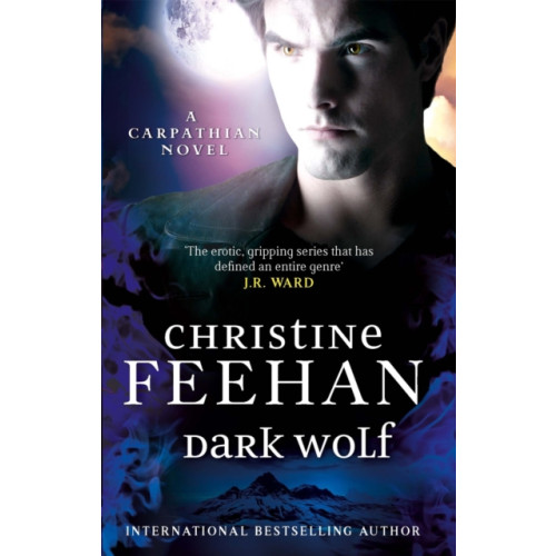 Little, Brown Book Group Dark Wolf (häftad, eng)