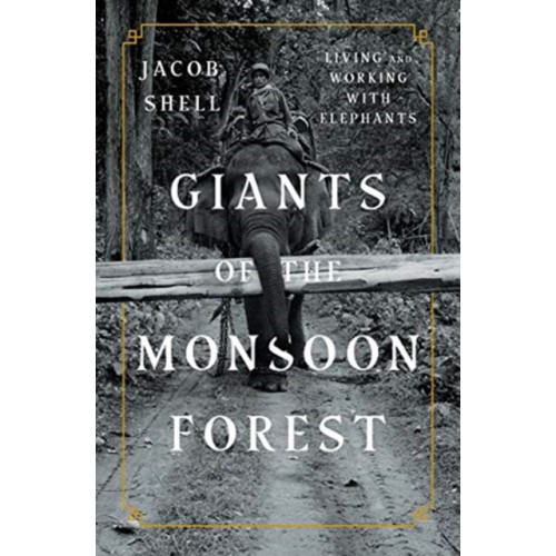 WW Norton & Co Giants of the Monsoon Forest (inbunden, eng)