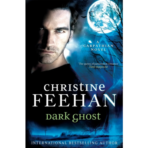 Little, Brown Book Group Dark Ghost (häftad, eng)