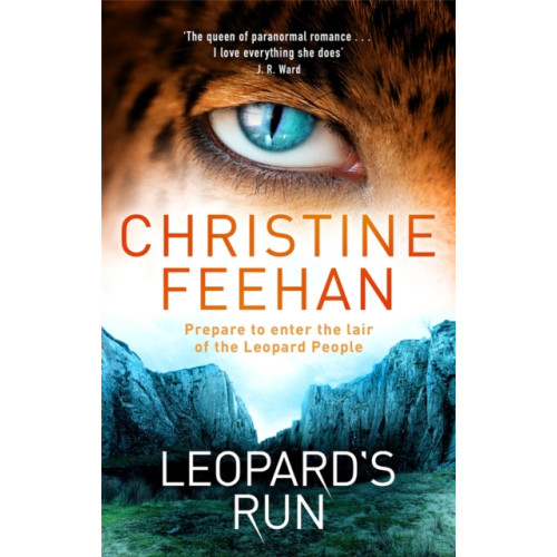 Little, Brown Book Group Leopard's Run (häftad, eng)