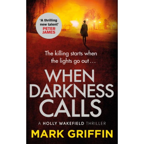 Little, Brown Book Group When Darkness Calls (häftad, eng)