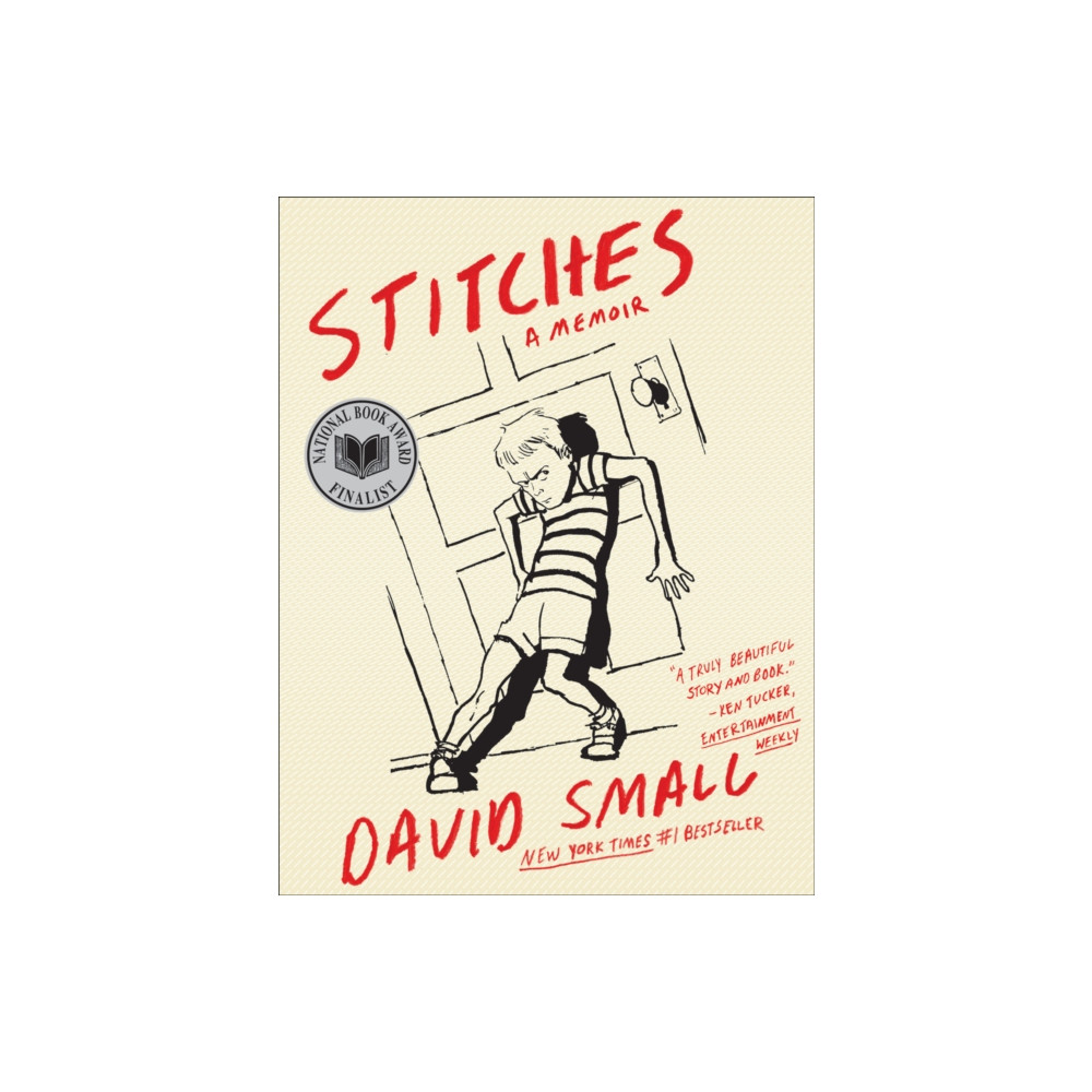 Produktbild för Stitches (häftad, eng)