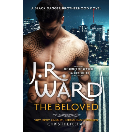 Little, Brown Book Group The Beloved (inbunden, eng)