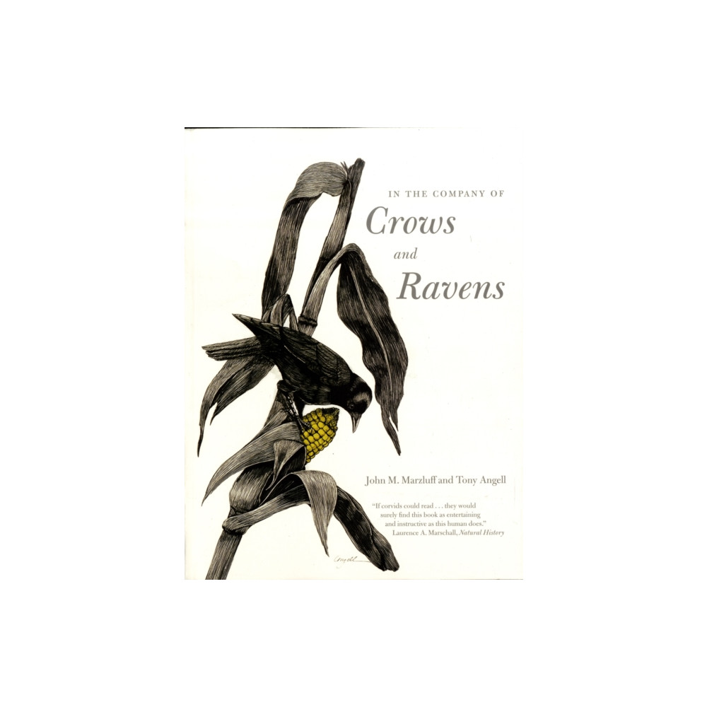 Produktbild för In the Company of Crows and Ravens (häftad, eng)