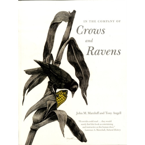 Yale university press In the Company of Crows and Ravens (häftad, eng)