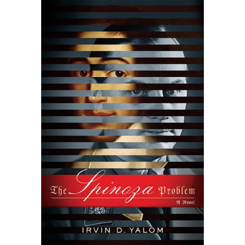 Basic Books The Spinoza Problem (häftad, eng)