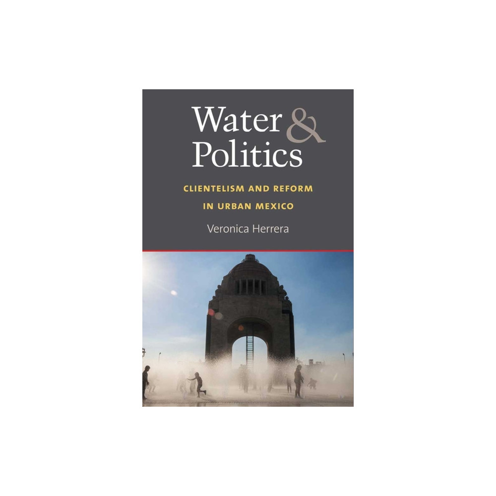 Produktbild för Water and Politics (häftad, eng)