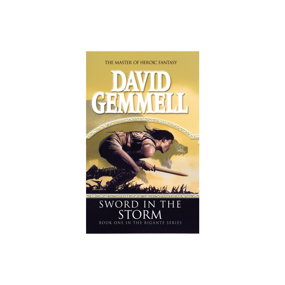 Produktbild för Sword In The Storm (häftad, eng)