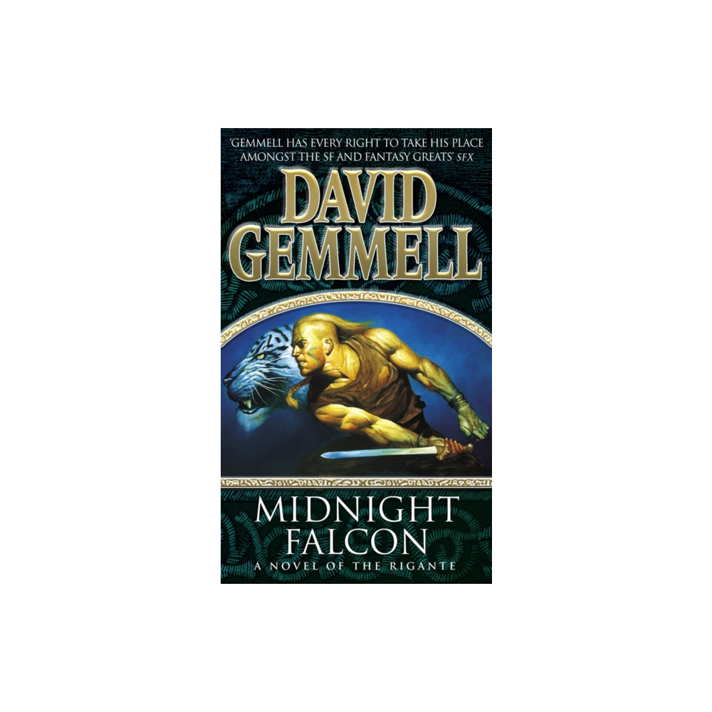 Produktbild för Midnight Falcon (häftad, eng)