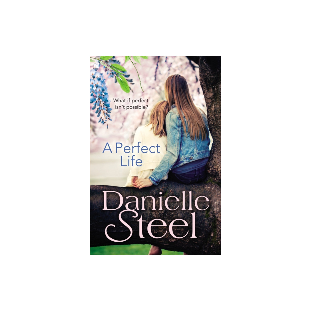 Produktbild för A Perfect Life (häftad, eng)