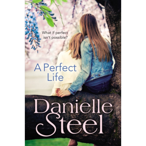 Transworld publishers ltd A Perfect Life (häftad, eng)