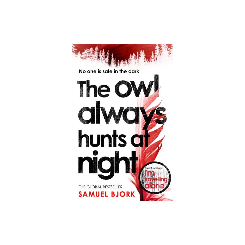 Produktbild för The Owl Always Hunts at Night (häftad, eng)