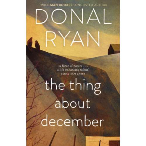 Transworld publishers ltd The Thing About December (häftad, eng)