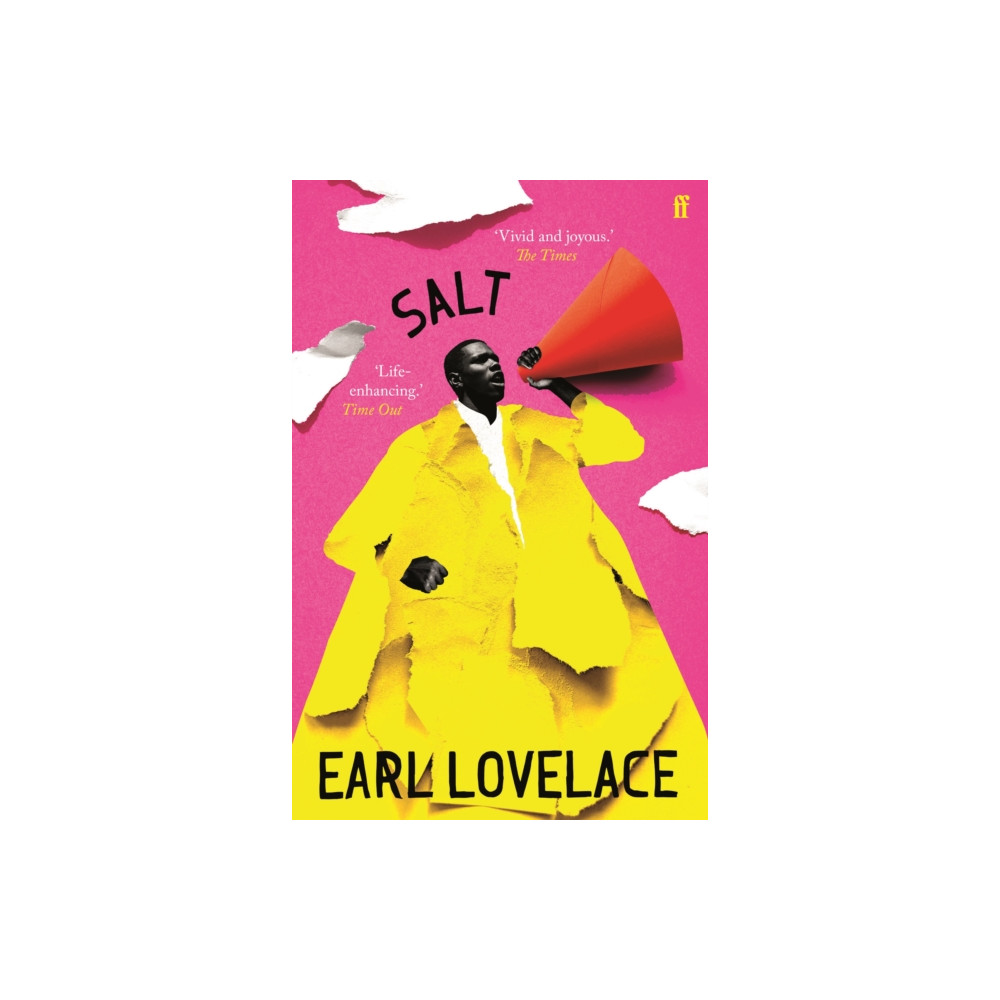 Produktbild för Salt (häftad, eng)