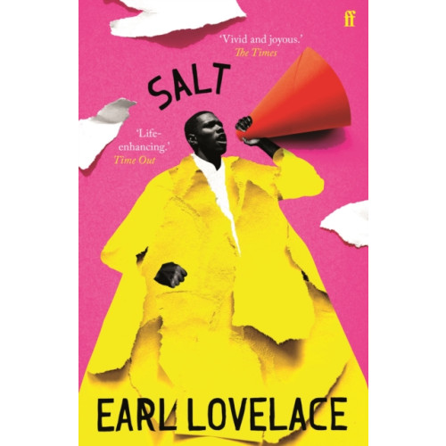 Faber & Faber Salt (häftad, eng)