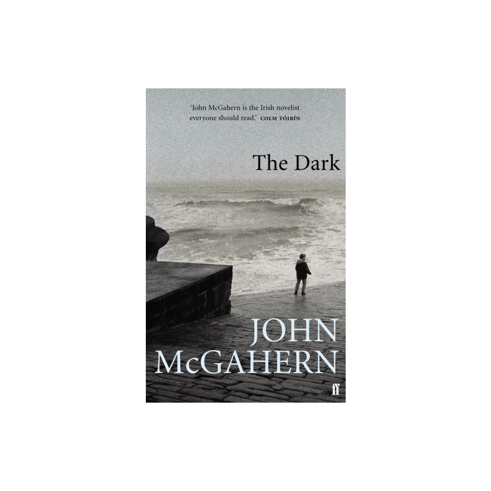 Produktbild för The Dark (häftad, eng)