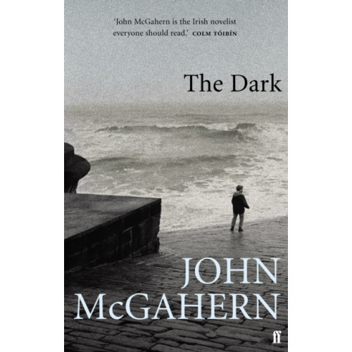 Faber & Faber The Dark (häftad, eng)