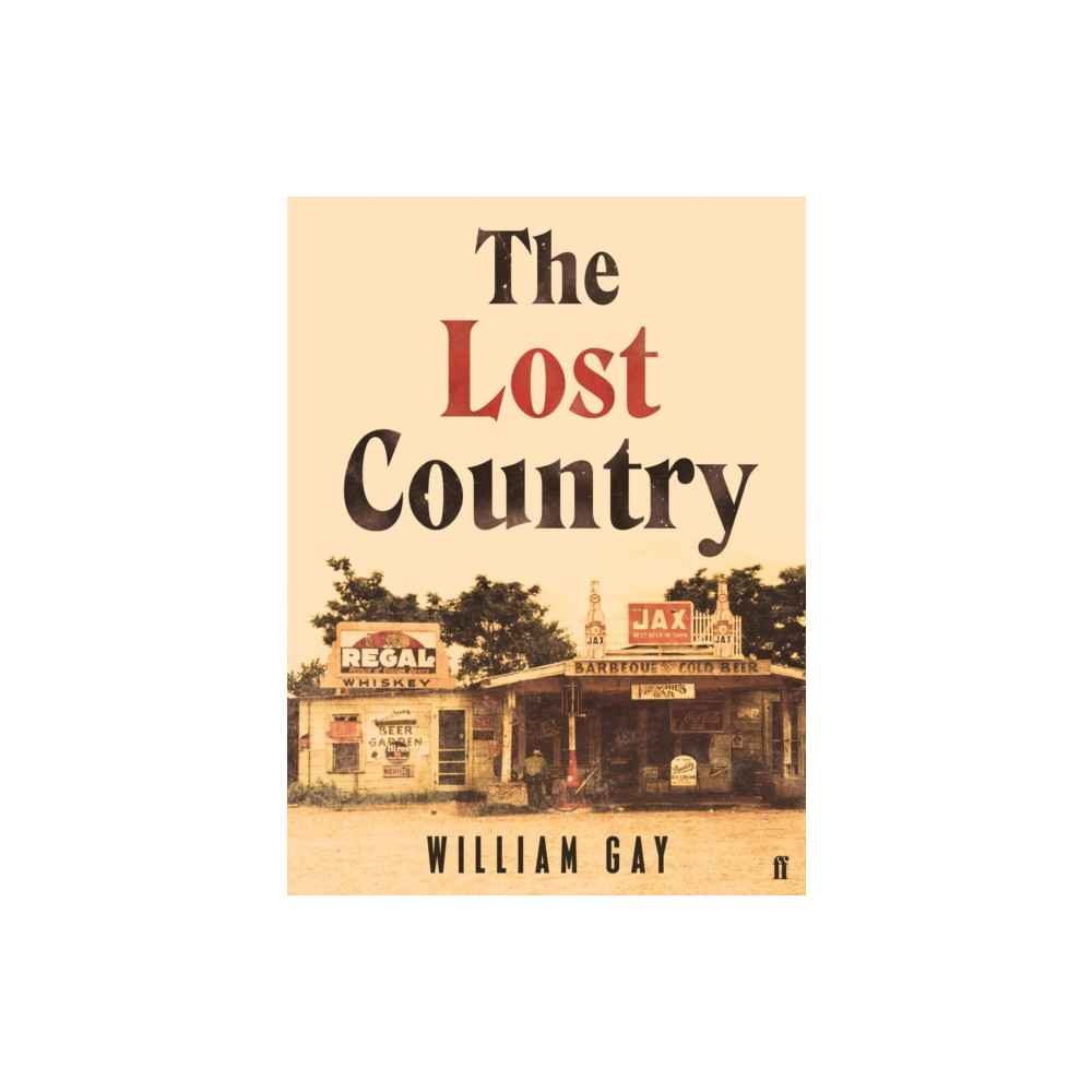 Produktbild för The Lost Country (häftad, eng)