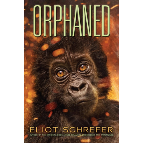 Scholastic Inc. Orphaned (Ape Quartet #4) (inbunden, eng)