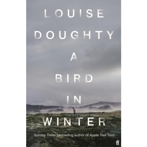Faber & Faber A Bird in Winter (inbunden, eng)
