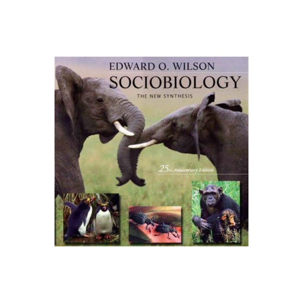 Produktbild för Sociobiology (häftad, eng)