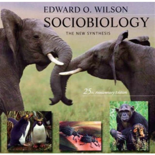 Harvard university press Sociobiology (häftad, eng)