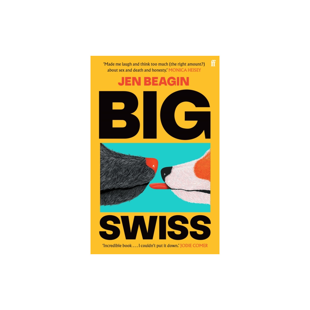 Produktbild för Big Swiss (häftad, eng)