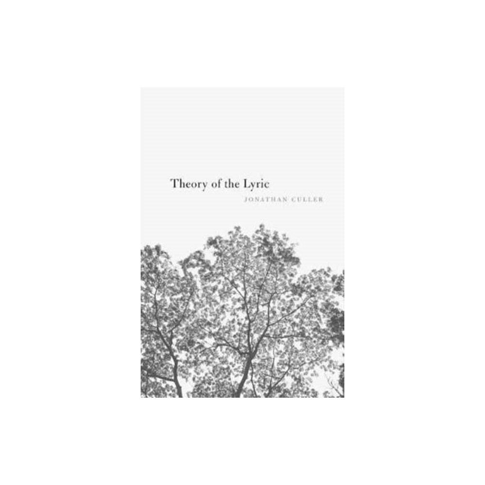 Produktbild för Theory of the Lyric (häftad, eng)
