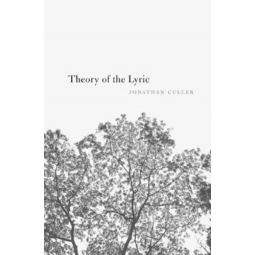 Harvard university press Theory of the Lyric (häftad, eng)