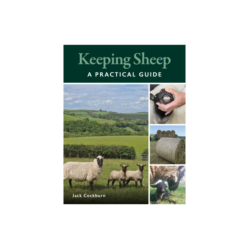 Produktbild för Keeping Sheep (häftad, eng)