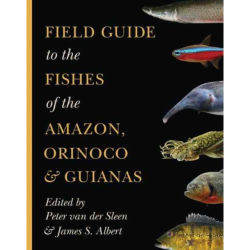 Princeton University Press Field Guide to the Fishes of the Amazon, Orinoco, and Guianas (häftad, eng)