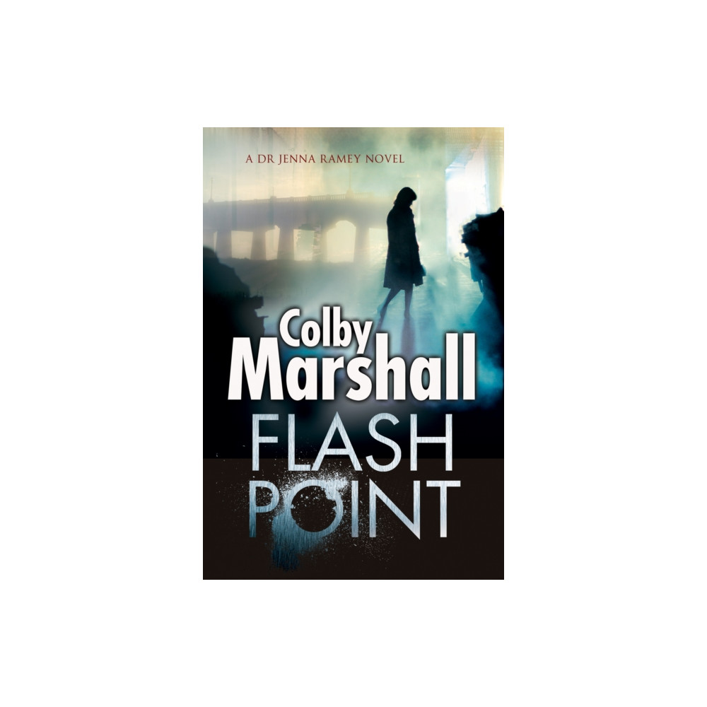 Produktbild för Flash Point (inbunden, eng)