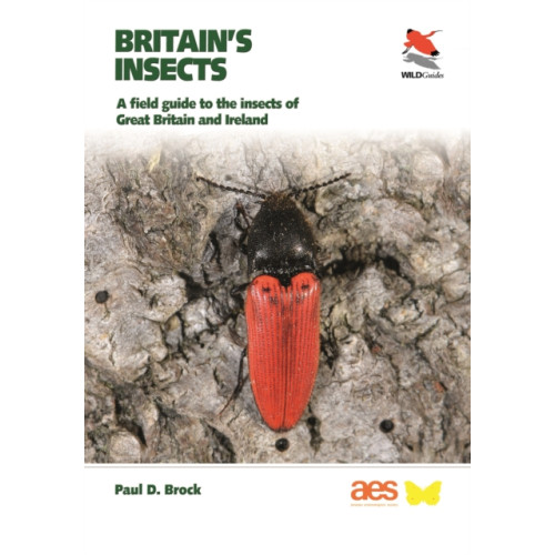 Princeton University Press Britain's Insects (häftad, eng)