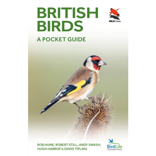 Princeton University Press British Birds (häftad, eng)